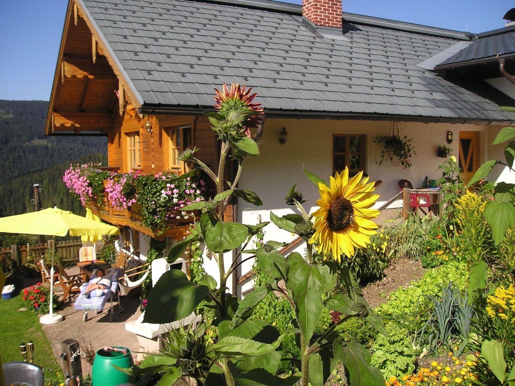 Fesengut Hotel Annaberg im Lammertal Exterior photo